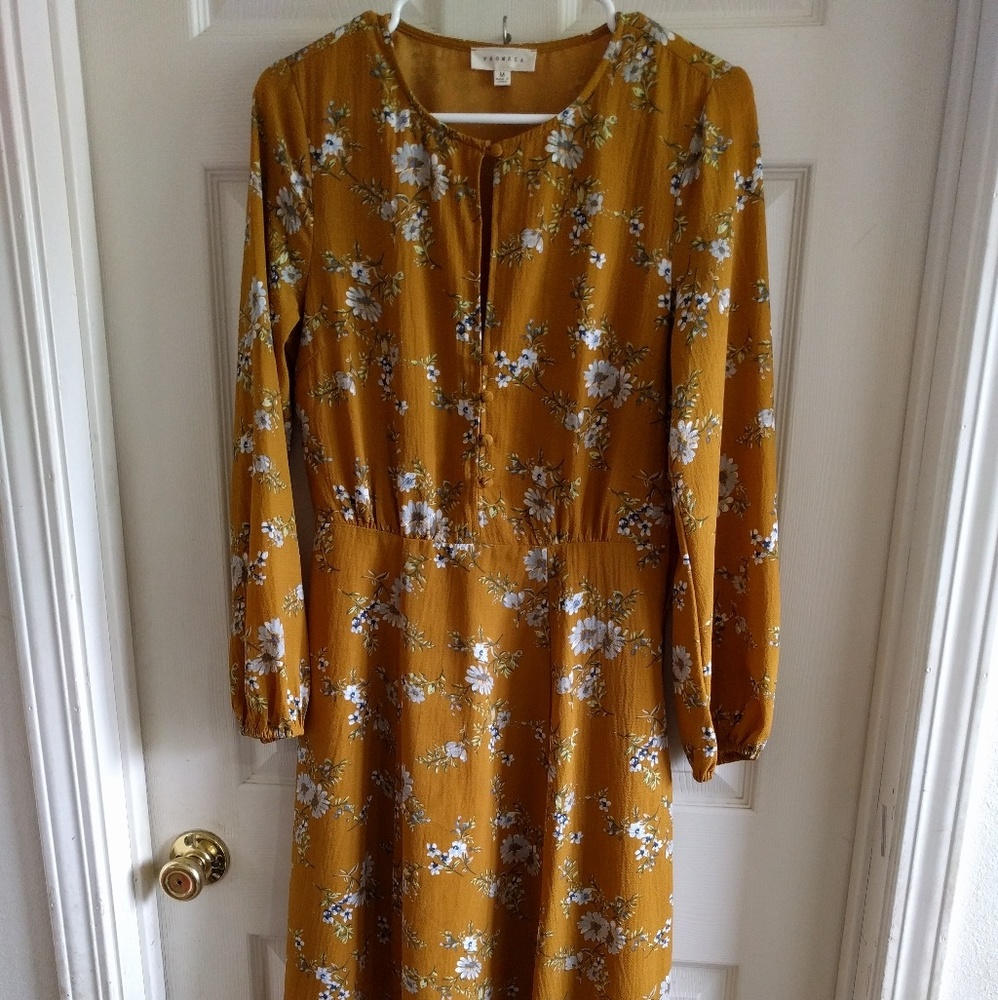 Roolee Mustard floral dress